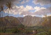 Enoch Wood Perry, Jr. Manoa Valley from Waikiki oil painting reproduction